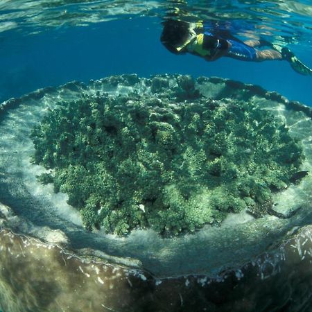 Sal Salis Ningaloo Reef Hotel Exmouth Eksteriør billede