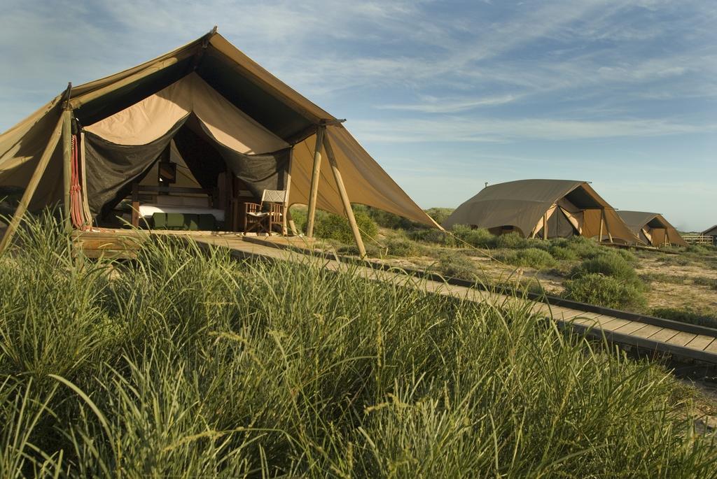 Sal Salis Ningaloo Reef Hotel Exmouth Eksteriør billede