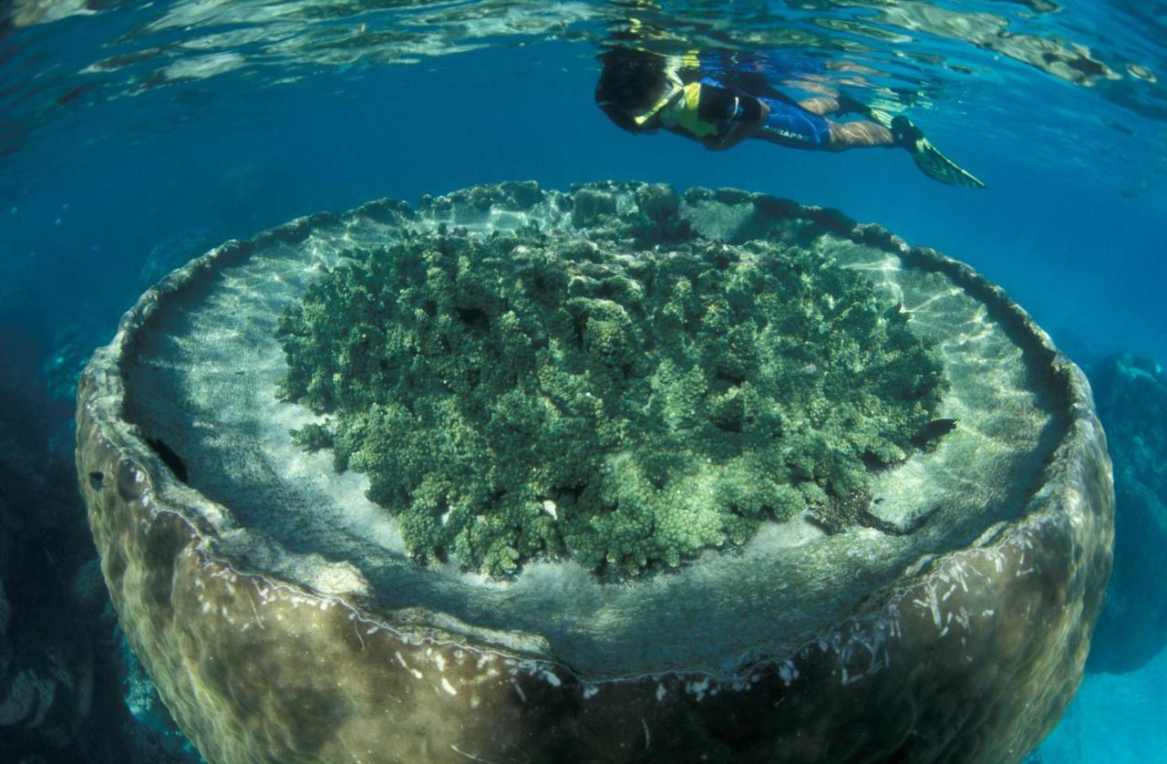 Sal Salis Ningaloo Reef Hotel Exmouth Eksteriør billede